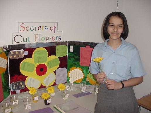 Science Fair